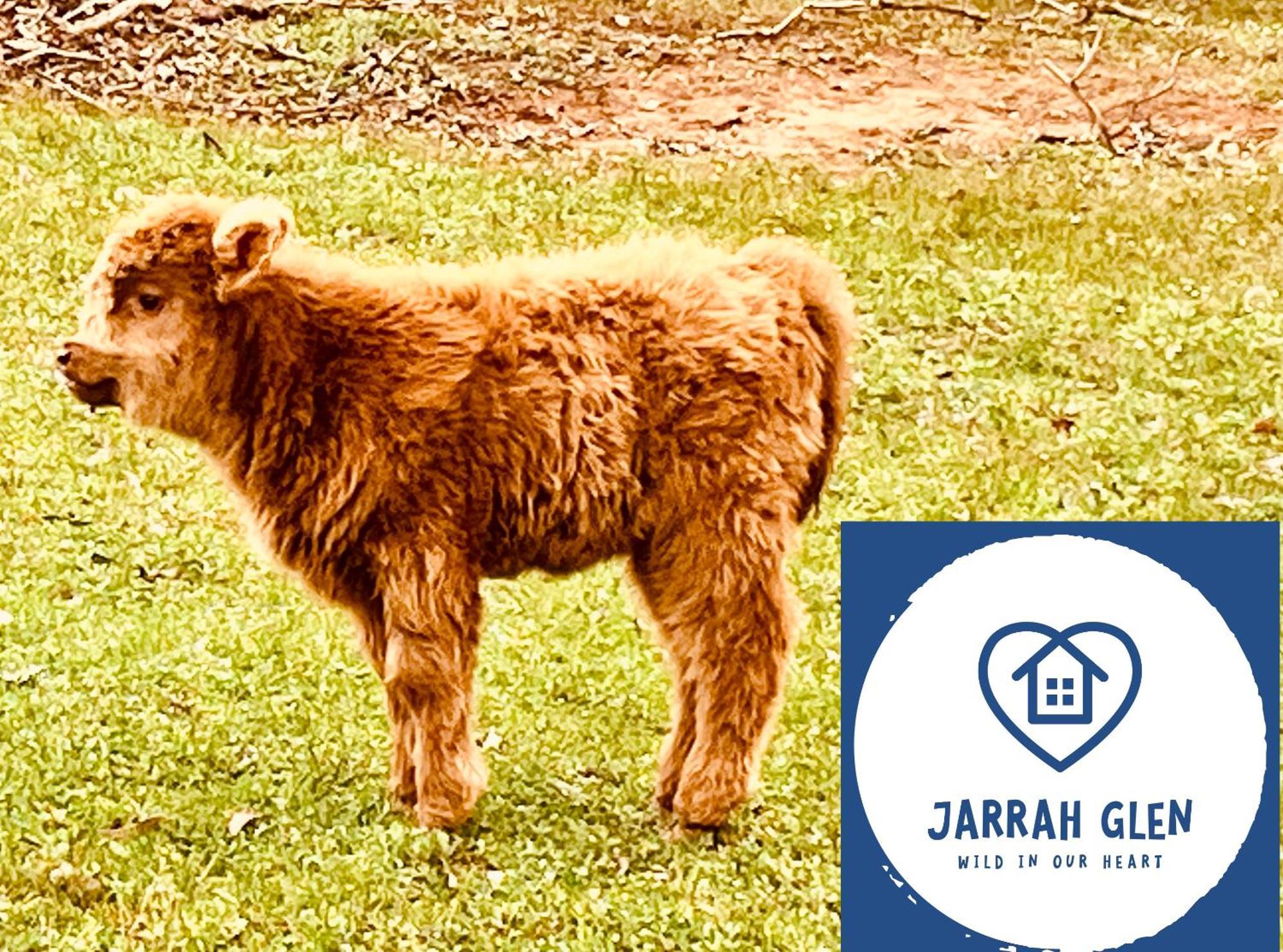 Jarrah Glen Cabins Nannup Eksteriør bilde