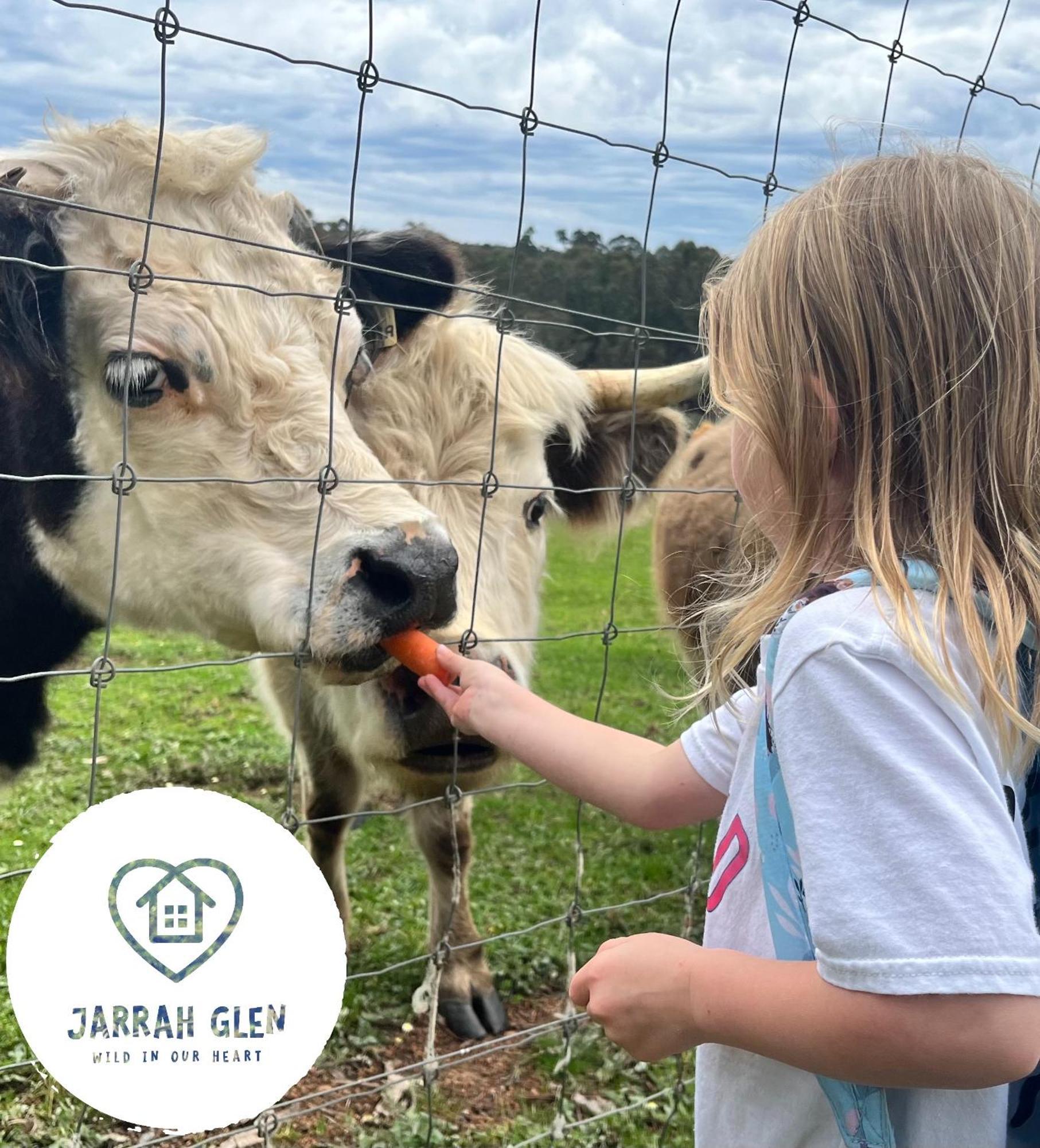 Jarrah Glen Cabins Nannup Eksteriør bilde