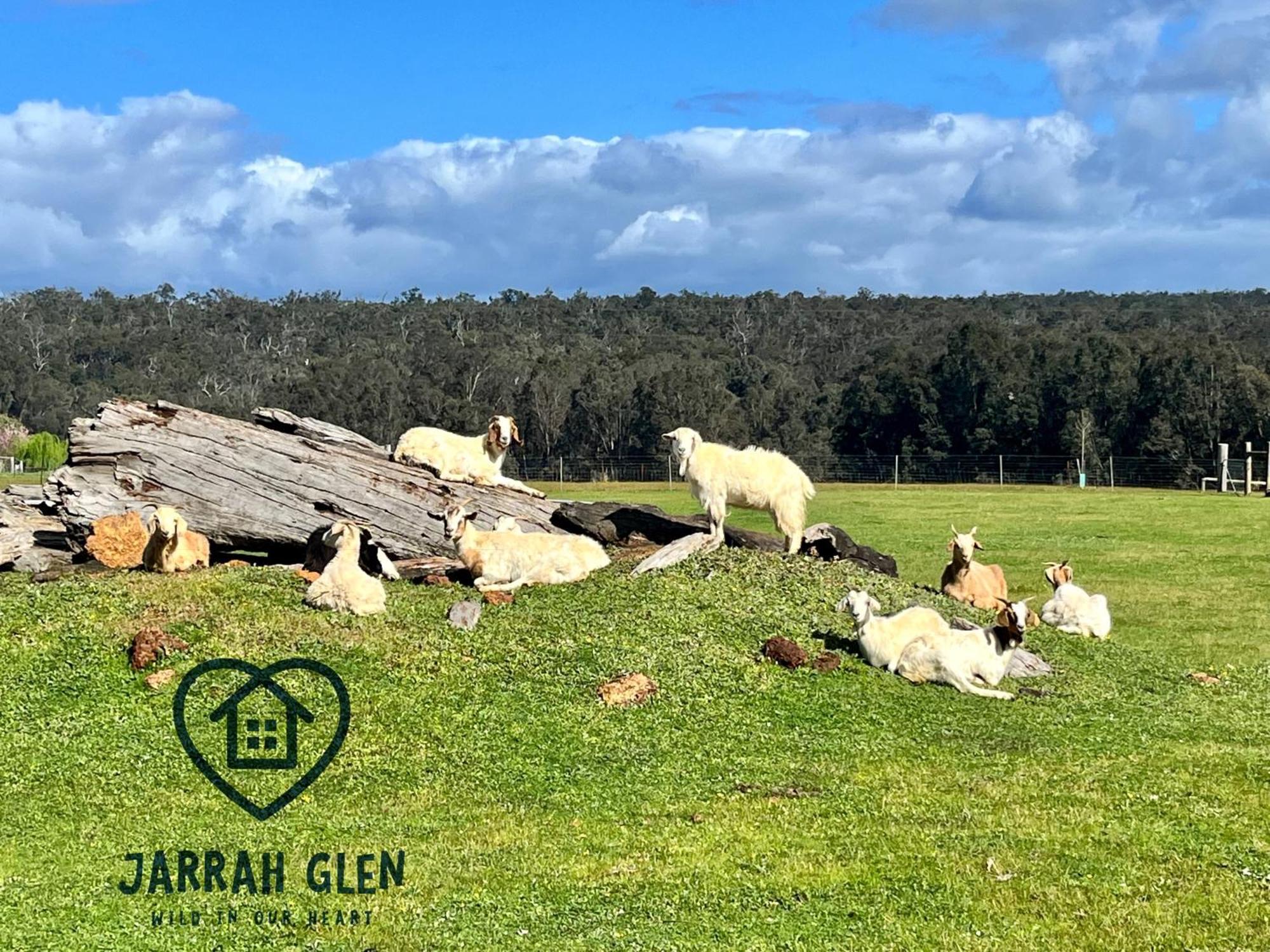 Jarrah Glen Cabins Nannup Eksteriør bilde