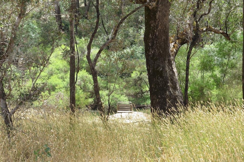 Jarrah Glen Cabins Nannup Rom bilde