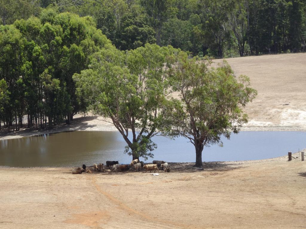 Jarrah Glen Cabins Nannup Eksteriør bilde